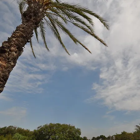 Hostel Airhostel Barcelona Airport 24h El Prat de Llobregat